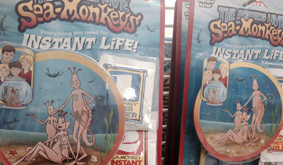 The Dark Past of Sea Monkeys – VIDEO