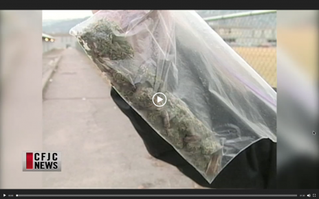 WATCH: Fentanyl Laced Marijuana – Cannabis  – REPORT