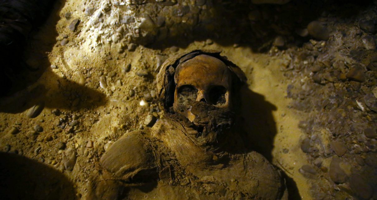 Ancient desert tomb reveals 50 Egyptian mummies including 12 preserved children | The Independent