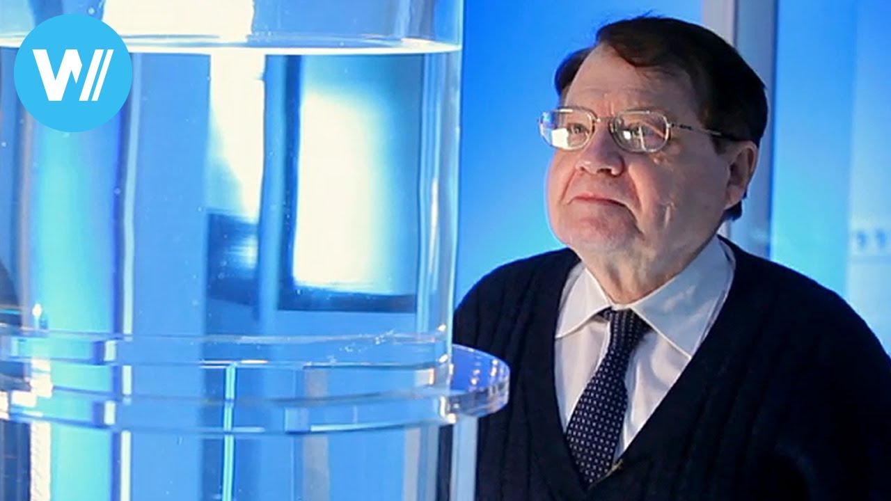 Water Memory (2014 Documentary about Nobel Prize laureate Luc Montagnier) - YouTube